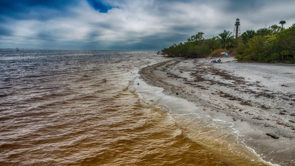 Glass Pebble Beach Florida